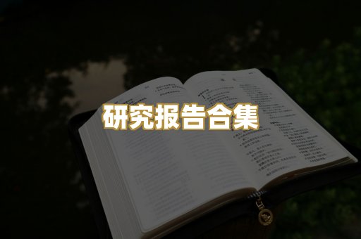 研究报告合集